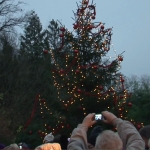 Christmas in the Zoo